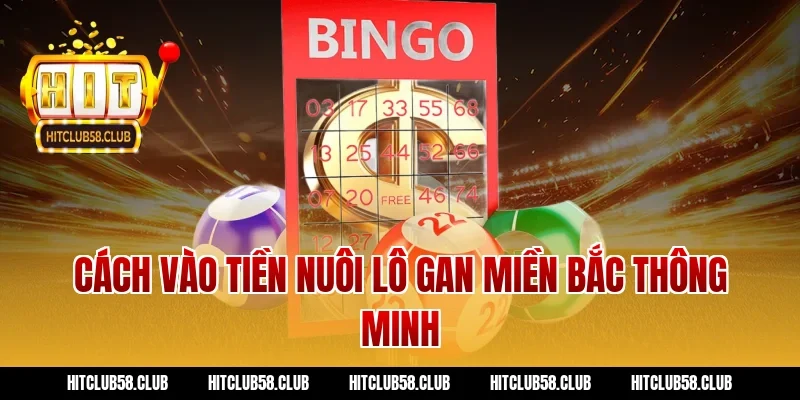 Cách vào tiền nuôi lô gan miền bắc thông minh